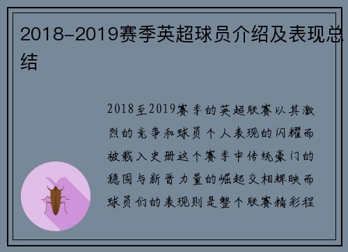 2018-2019赛季英超球员介绍及表现总结